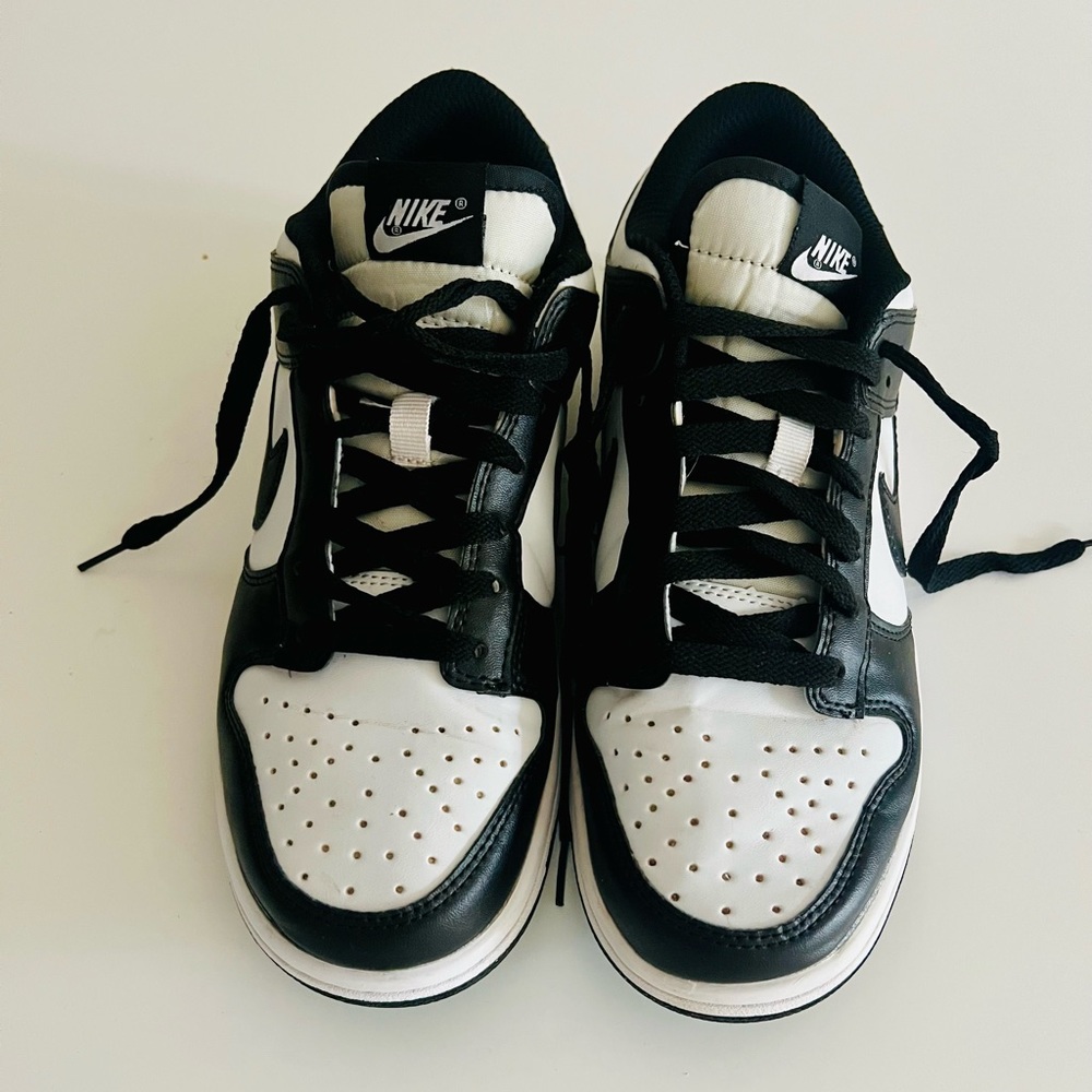 Nike Dunks Low